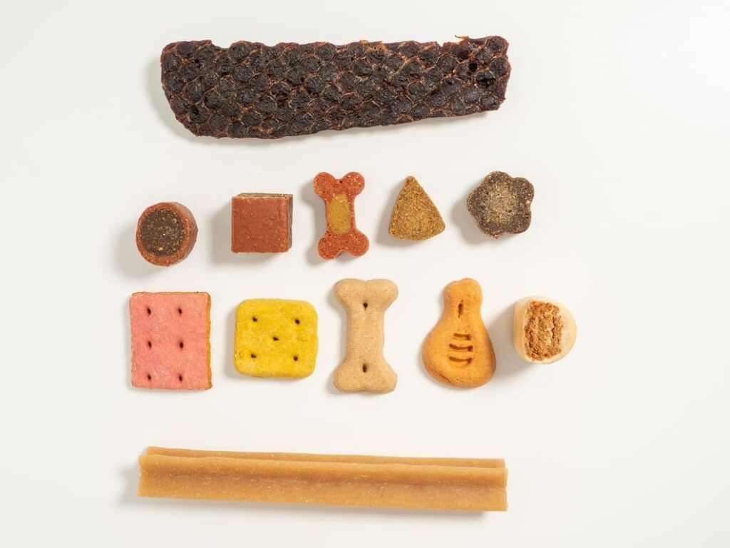Assortiment de nombreuses friandises pour chiens, symbolisant l'excès dans l'éducation du Golden Retriever