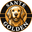 Logo rond avec buste de golden retriever souriant, texte Santé Golden en blanc sur fond noir