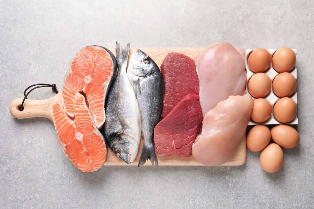 Assortiment de protéines pour la ration ménagère : saumon, poisson, bœuf, poulet et œufs crus pour le Golden Retriever
